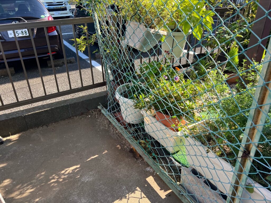 千葉県習志野市 オーナーY様【植栽撤去工事】